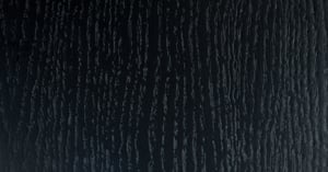 159_Jesion_czarny_159_Black_ash