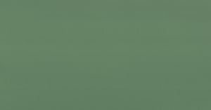 21_Light green_Zielony jasny