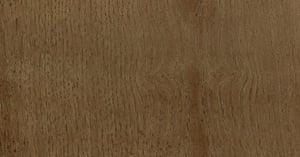 27_Milky oak_Dąb mleczny