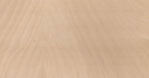 28_Bleached ash_Jesion bielony