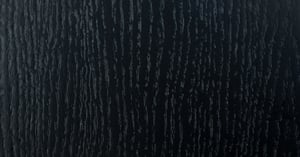 36_Black oak_Dąb czarny